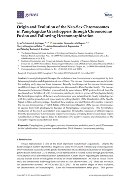 Origin and Evolution of the Neo-Sex Chromosomes in Pamphagidae Grasshoppers Through Chromosome Fusion and Following Heteromorphization