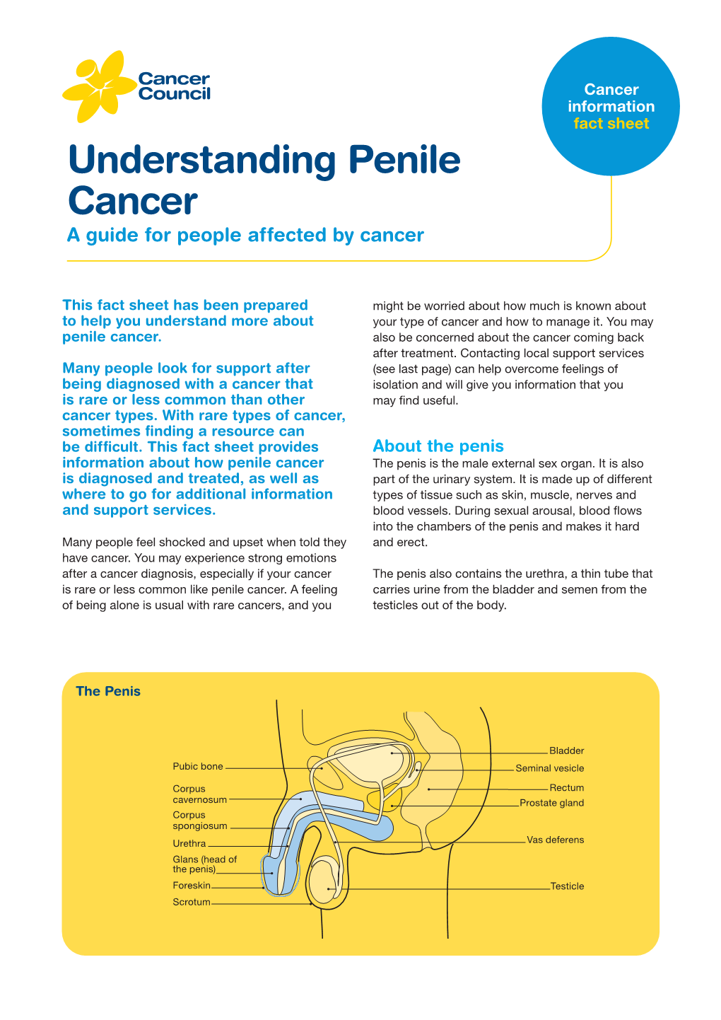 Penile Cancer a Guide for People Affected by Cancer