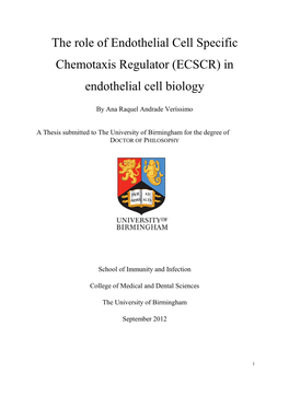The Role of Endothelial Cell Specific Chemotaxis Regulator (ECSCR) in Endothelial Cell Biology