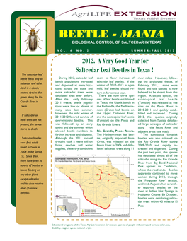 Beetle - Mania Is a Ne Wsletter on Biological Control of Saltcedar in Texas, and Is Written and Produced by Allen Knutson , Texas A&M Agrilife Extension