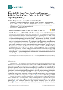 Essential Oil from Pinus Koraiensis Pinecones Inhibits Gastric Cancer Cells Via the HIPPO/YAP Signaling Pathway