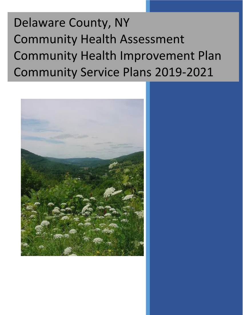 Delaware County, NY Community Health Assessment Community Health Improvement Plan Community Service Plans