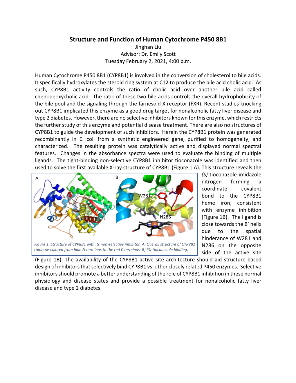 Structure and Function of Human Cytochrome P450 8B1 Jinghan Liu Advisor: Dr