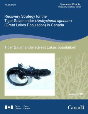 (Great Lakes Population) Recovery Strategy for the Tiger Salamander