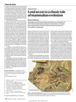 Lend an Ear to a Classic Tale of Mammalian Evolution