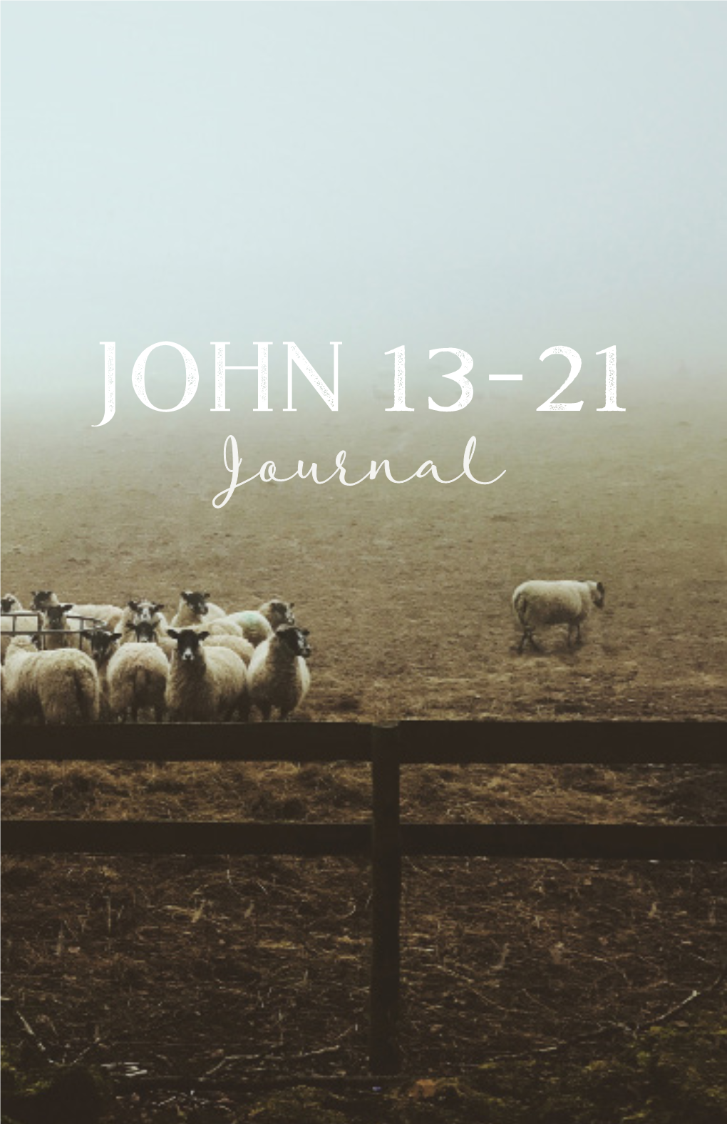 John-13-21-Journal.Pdf