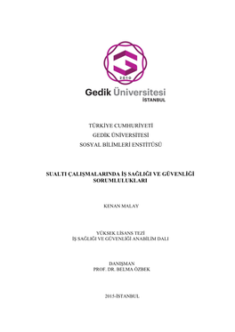 Türkiye Cumhuriyeti Gedik Üniversitesi Sosyal Bilimleri