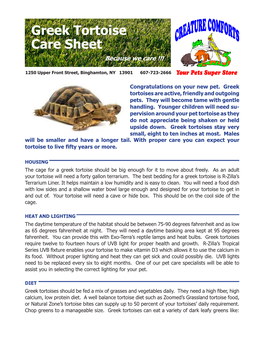 Greek Tortoise Care Sheet Because We Care !!!