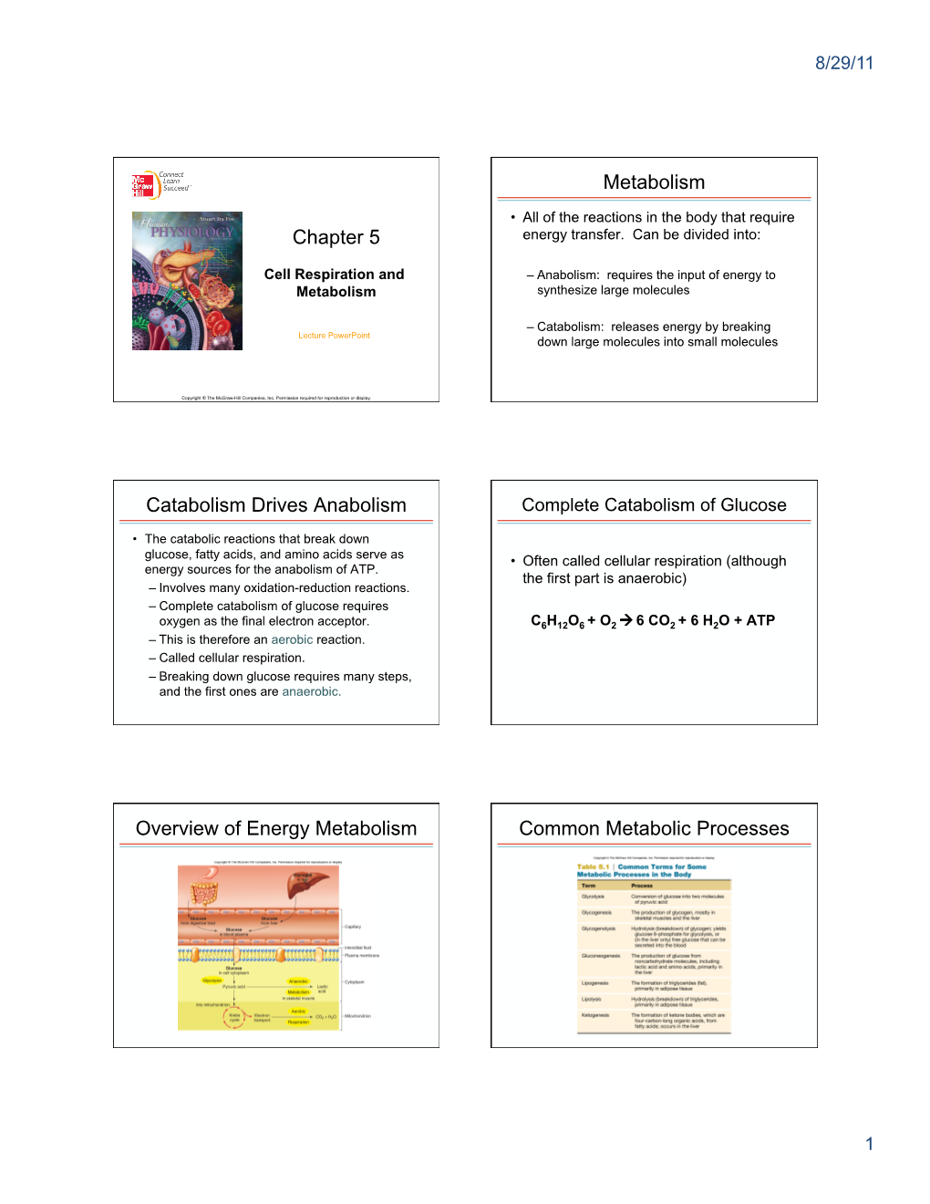 Chapter 5 Metabolism Catabolism Drives Anabolism Overview Of