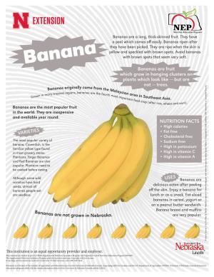 Bananas Are a Long, Thick-Skinned Fruit