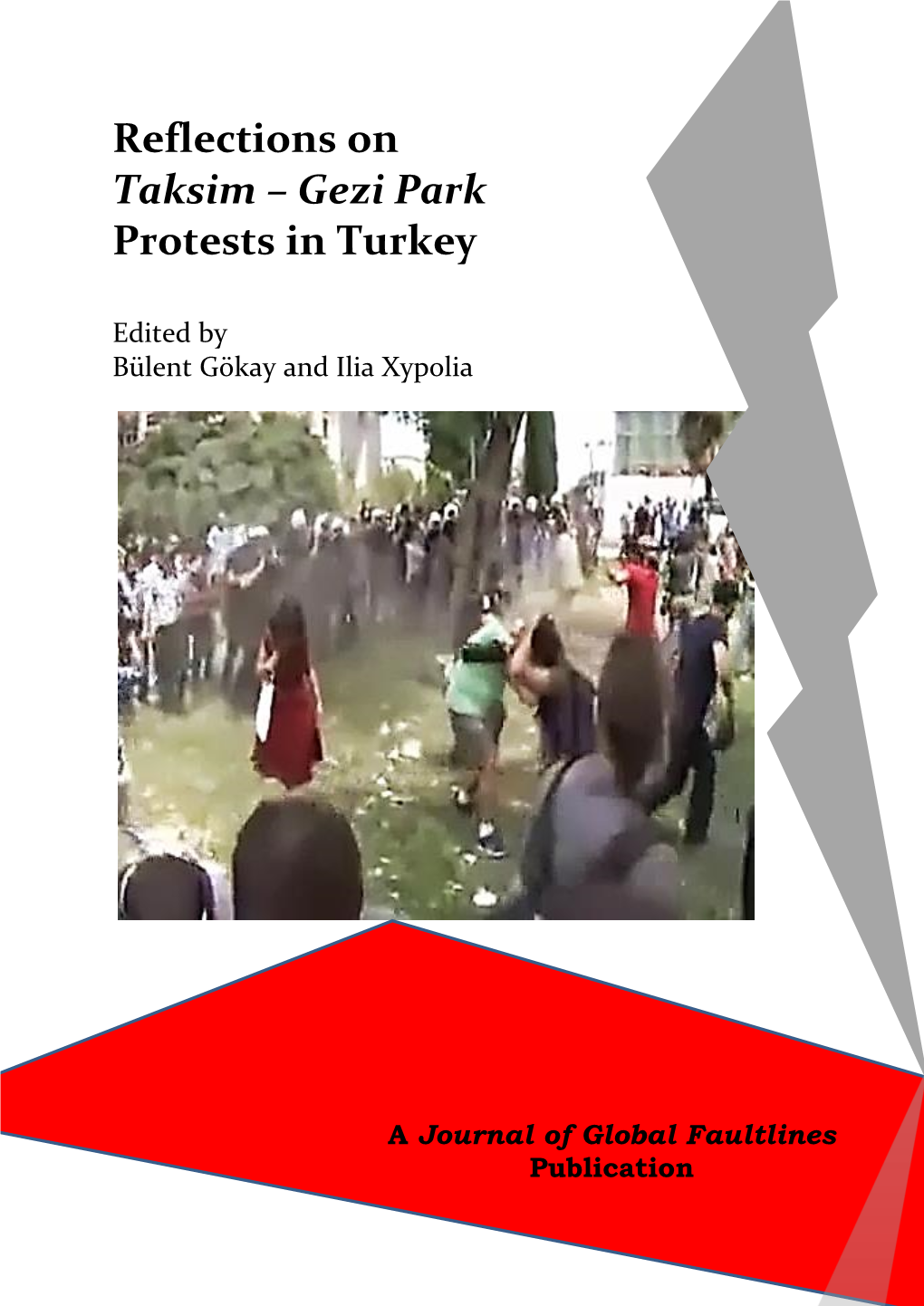 Gezi Park Protests in Turkey