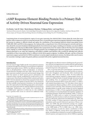 Camp Response Element-Binding Protein Is a Primary Hub of Activity-Driven Neuronal Gene Expression