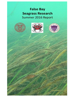 False Bay Seagrass Report H 2017 08 29 2