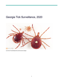 Georgia Tick Surveillance, 2020