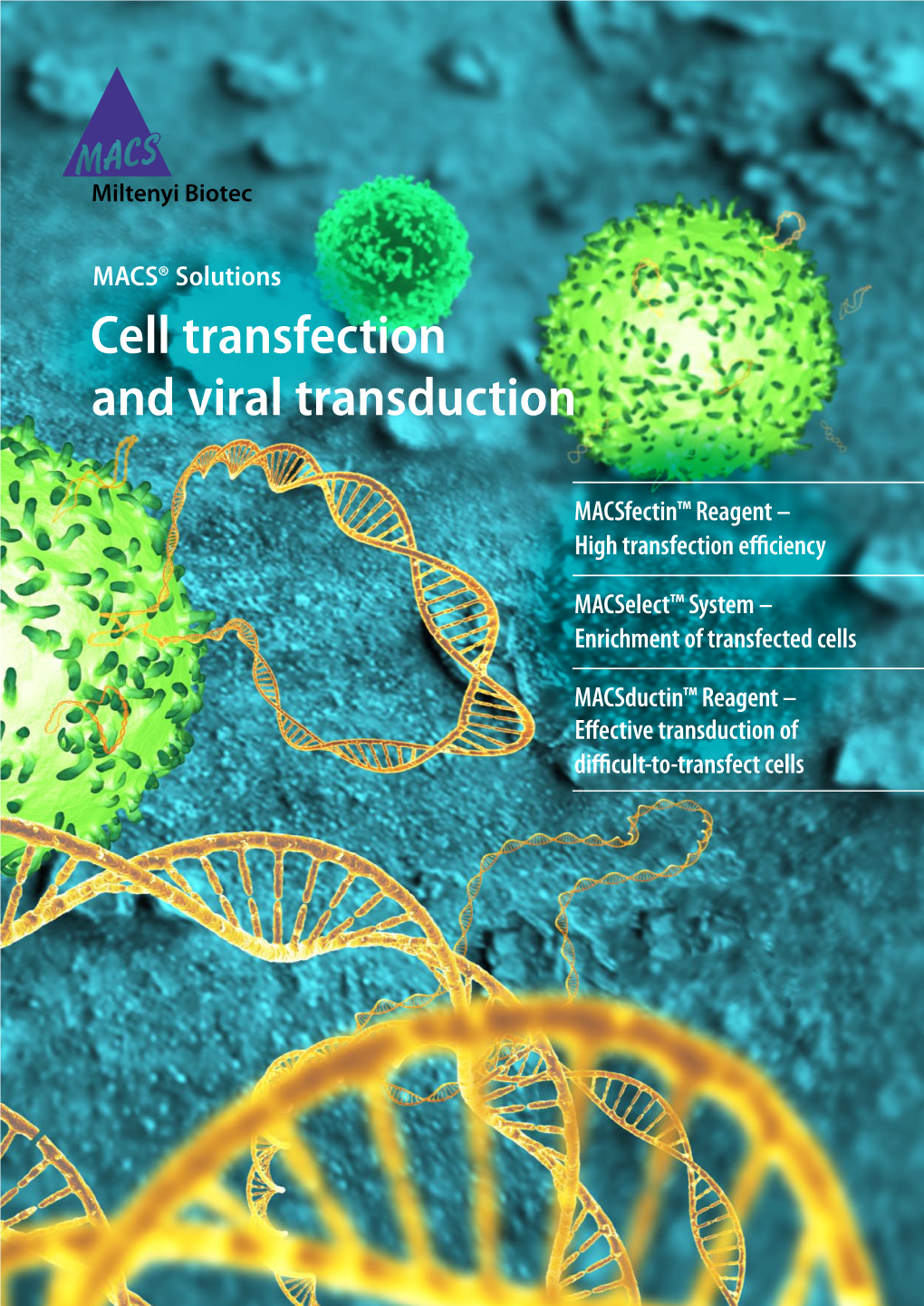 Cell Transfection and Viral Transduction