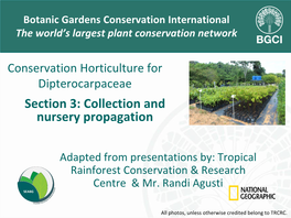 Conservation Horticulture for Dipterocarpaceae Section 3: Collection and Nursery Propagation