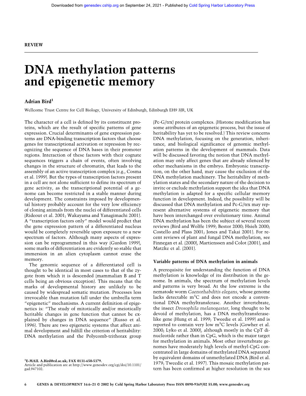 DNA Methylation Patterns and Epigenetic Memory
