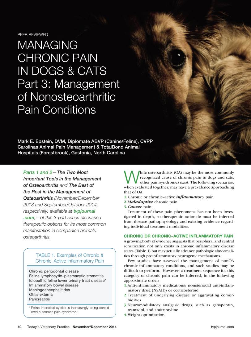 Managing Chronic Pain in Dogs & Cats