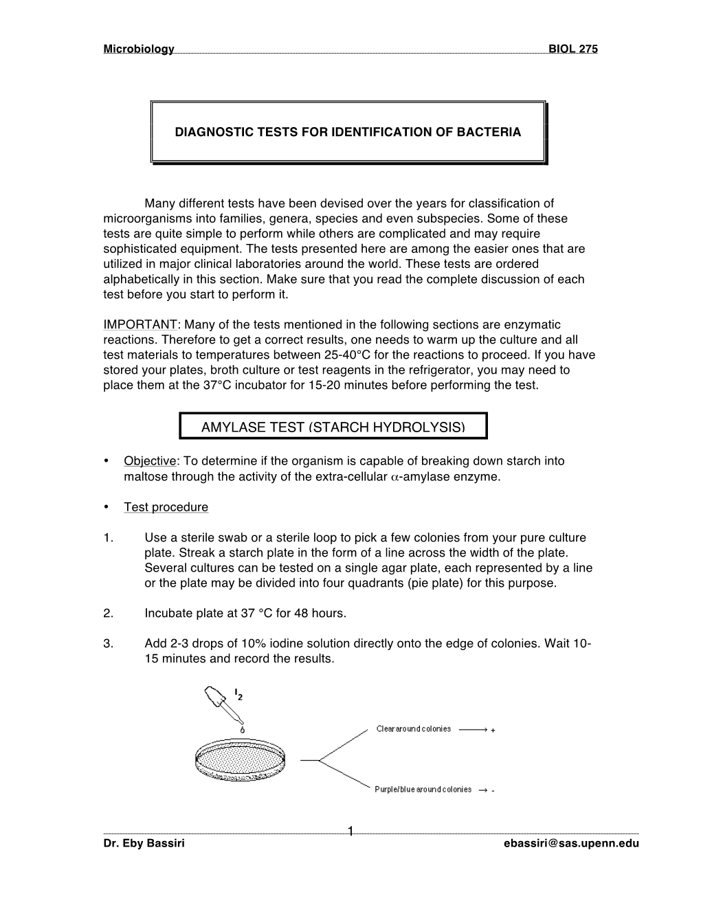 1 Amylase Test (Starch Hydrolysis)