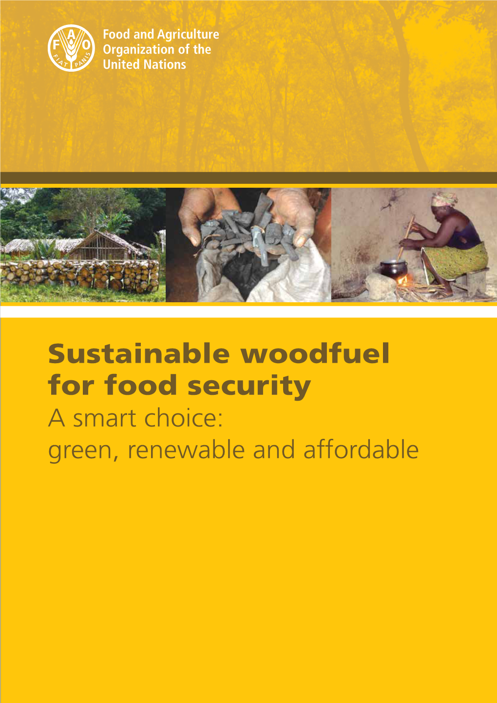 Sustainable Woodfuel for Food Security a Smart Choice: Green, Renewable and Affordable