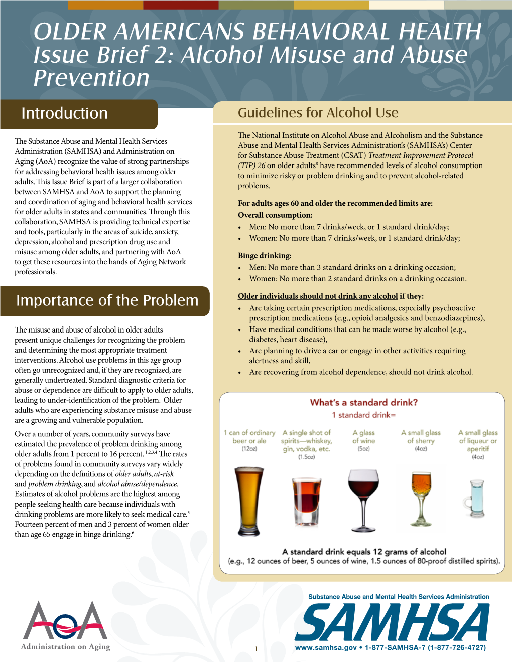 Issue Brief 2 Alcohol Misuse