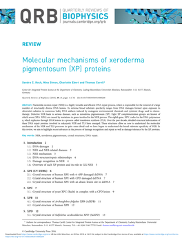 Molecular Mechanisms of Xeroderma Pigmentosum (XP) Proteins