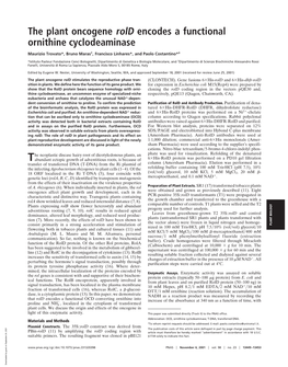 The Plant Oncogene Rold Encodes a Functional Ornithine Cyclodeaminase