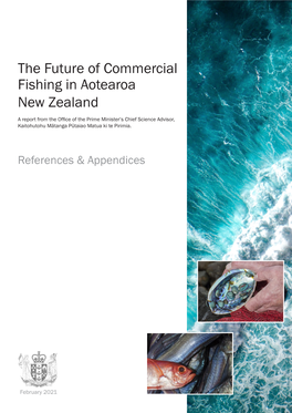 The Future of Commercial Fishing in Aotearoa New Zealand