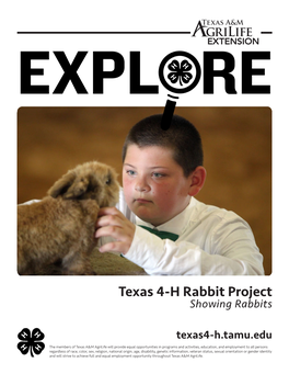 Explore – Rabbit Project Guide