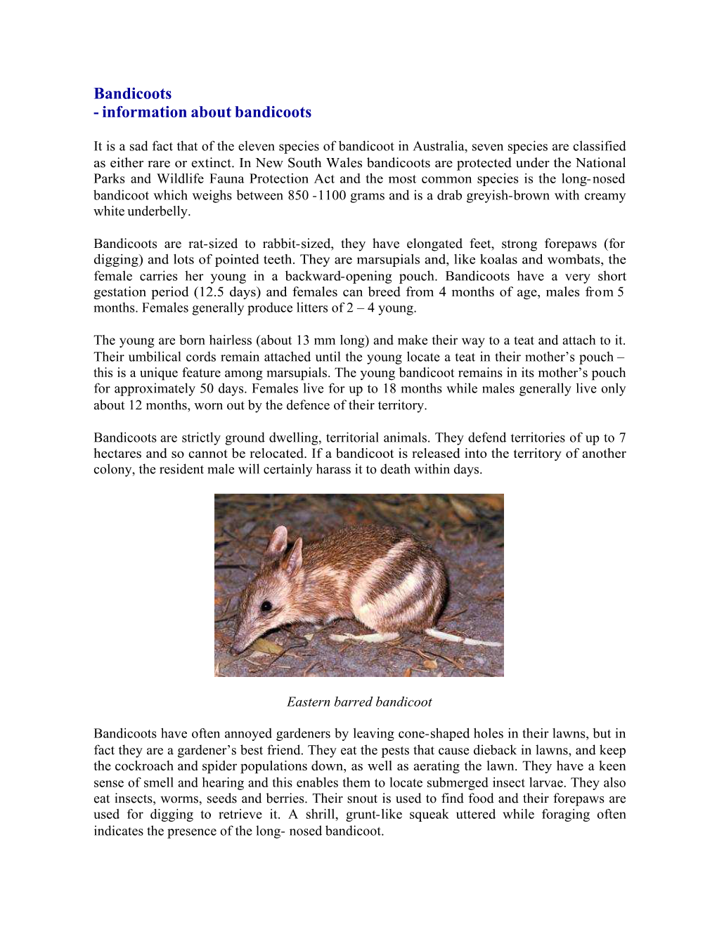 Information About Bandicoots