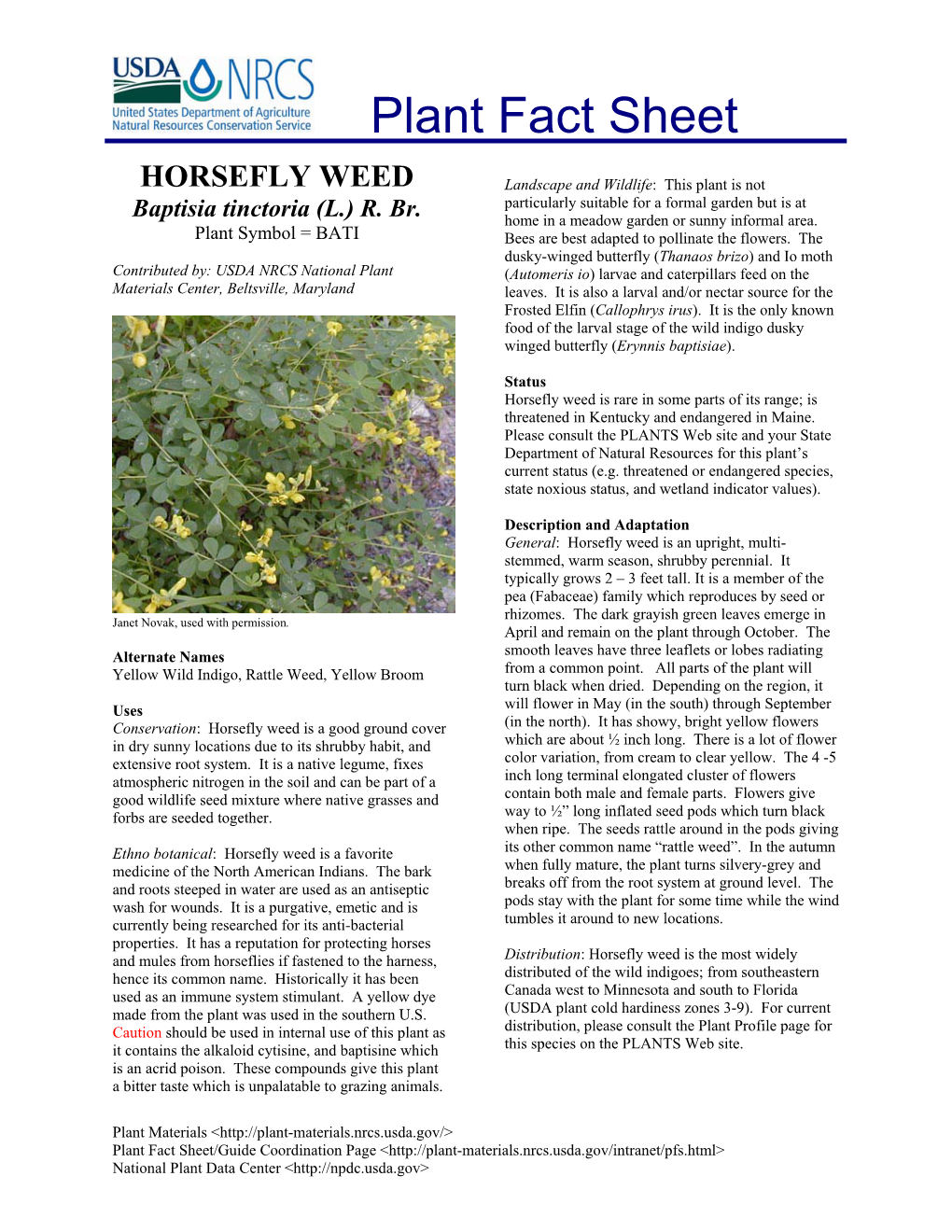 Horsefly Weed (Baptisia Tinctoria) Plant Fact Sheet