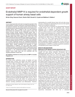 Endothelial MMP14 Is Required for Endothelial-Dependent Growth Support of Human Airway Basal Cells Bi-Sen Ding, Kazunori Gomi, Shahin Rafii, Ronald G