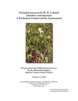 Eriophorum Gracile WDJ Koch (Slender Cottongrass)