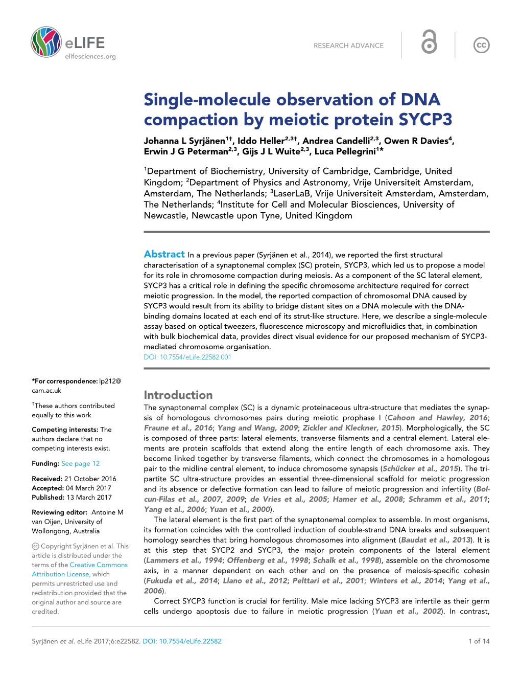 Single-Molecule Observation of DNA Compaction by Meiotic Protein SYCP3