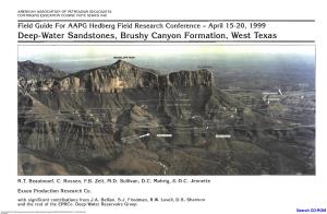 Deep-Water Sandstones, Brushy Canyon Formation, West Texas