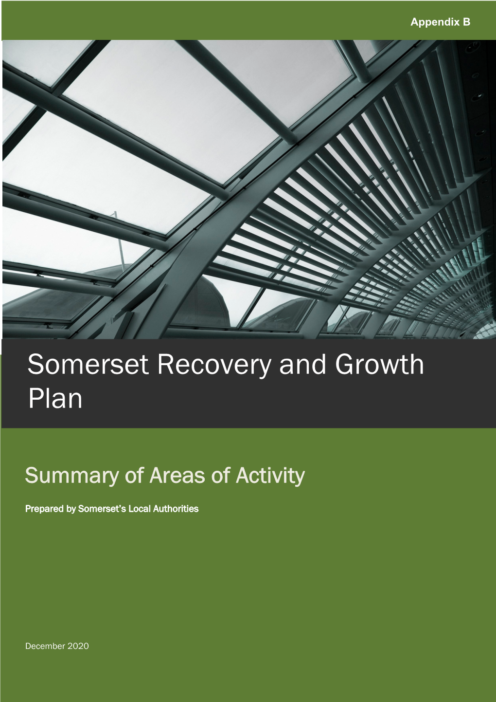Somerset Recovery and Growth Plan