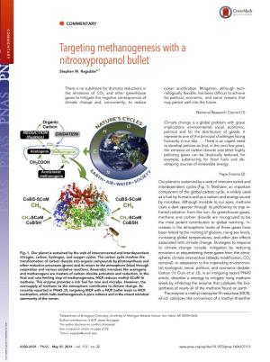 Targeting Methanogenesis with a Nitrooxypropanol Bullet Stephen W