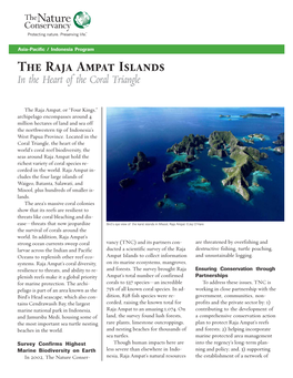 The Raja Ampat Islands in the Heart of the Coral Triangle