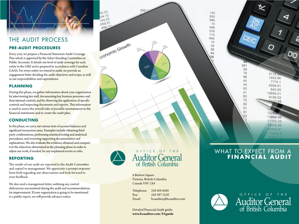 What to Expect from a Financial Audit the Audit