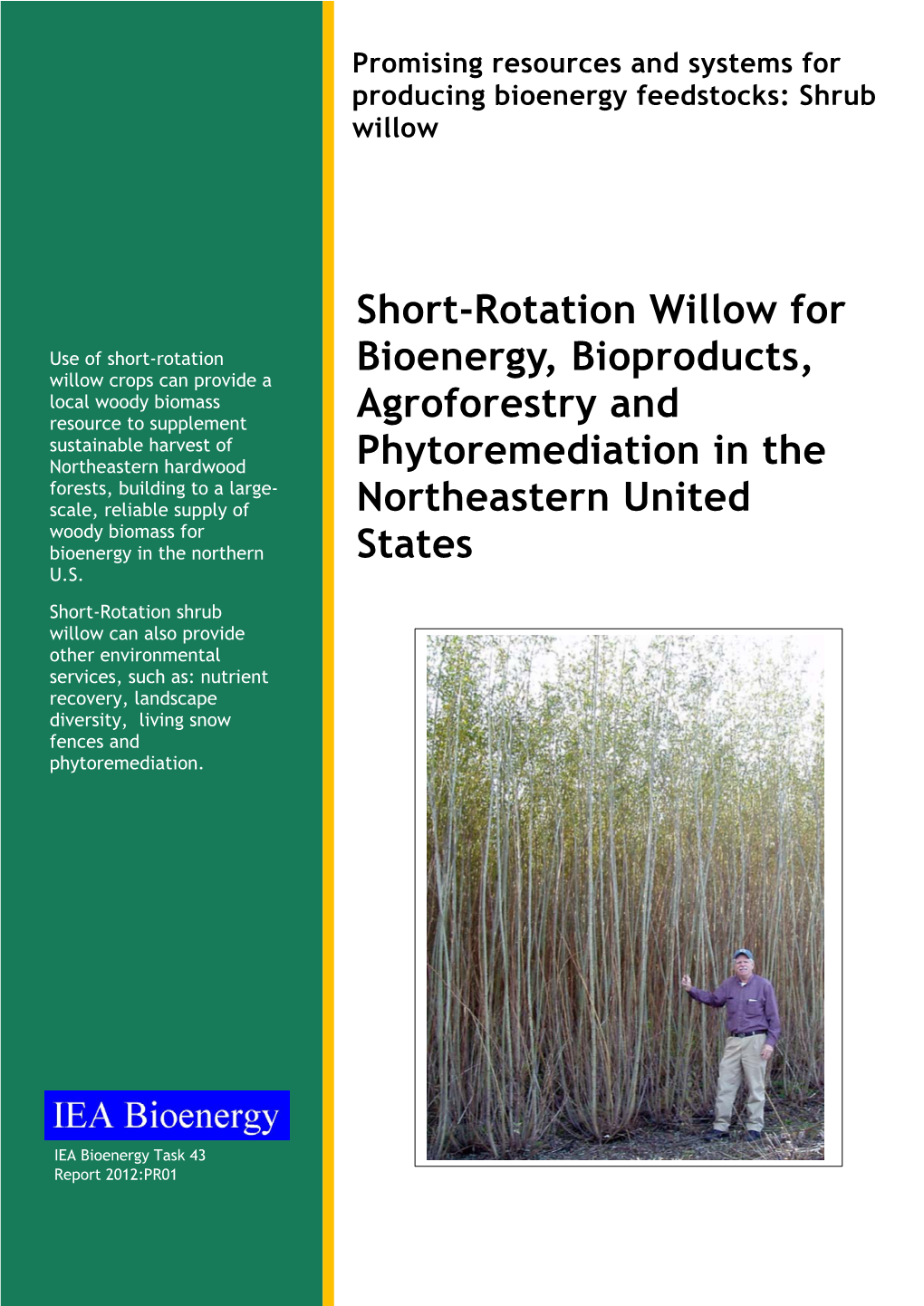 Short-Rotation Willow for Bioenergy, Bioproducts, Agroforestry and Phytoremediation in the Northeastern United States