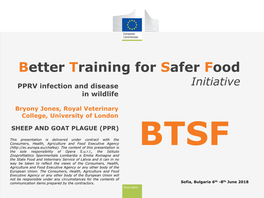 Better Training for Safer Food