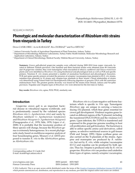 Phenotypic and Molecular Characterization of Rhizobium Vitis Strains from Vineyards in Turkey