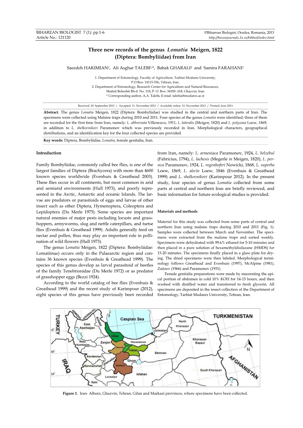 Three New Records of the Genus Lomatia Meigen, 1822 (Diptera: Bombyliidae) from Iran