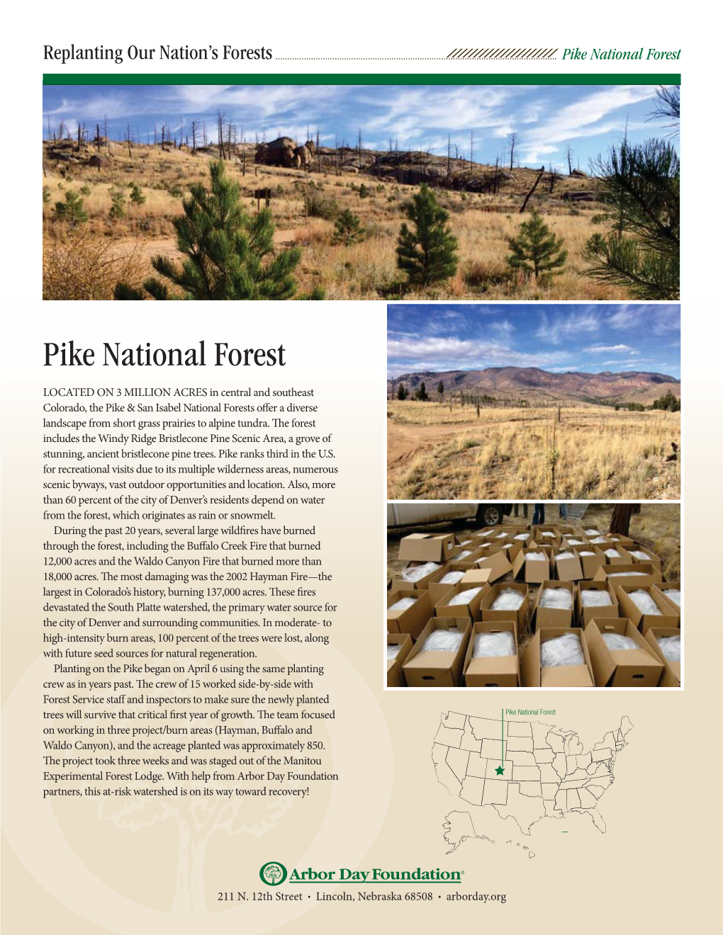 Pike National Forest