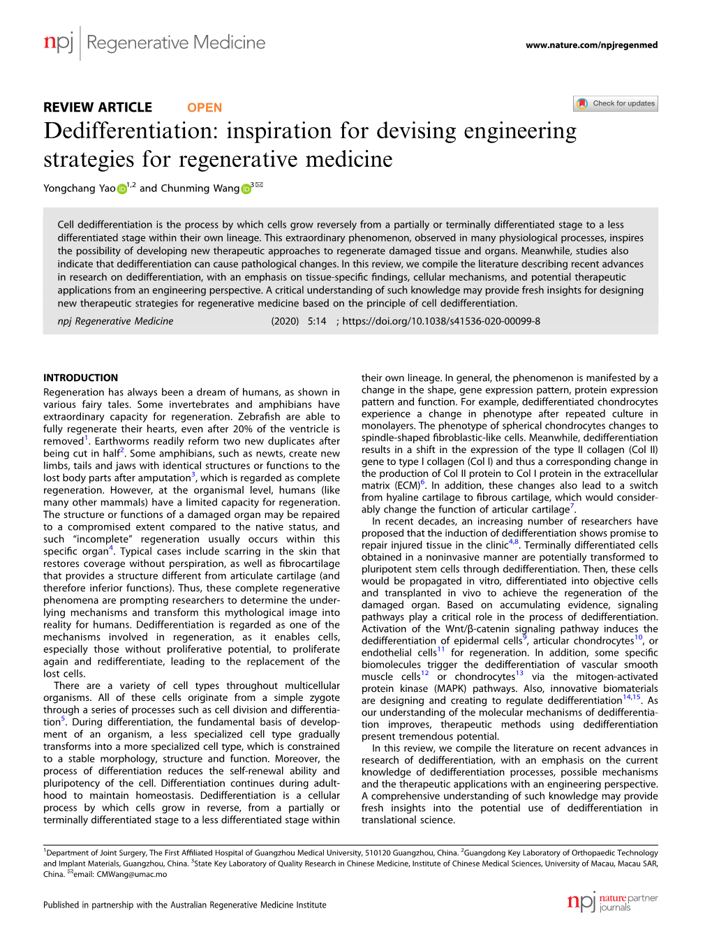 Dedifferentiation: Inspiration for Devising Engineering Strategies for Regenerative Medicine ✉ Yongchang Yao 1,2 and Chunming Wang 3