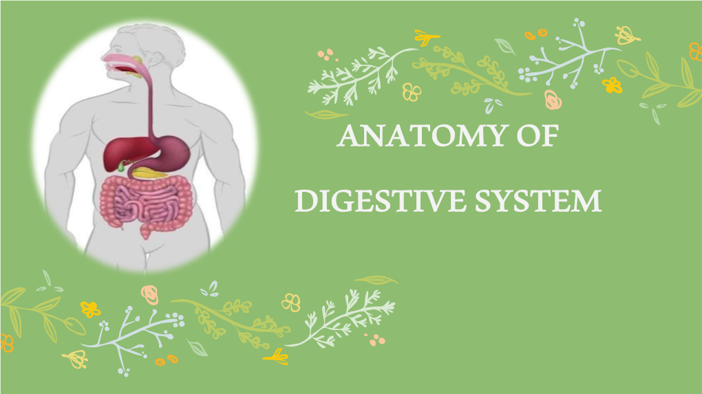 ANATOMY of DIGESTIVE SYSTEM Ø Presented by