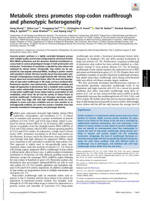 Metabolic Stress Promotes Stop-Codon Readthrough and Phenotypic Heterogeneity