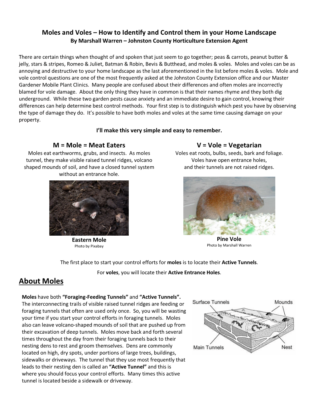Moles and Voles – How to Identify and Control Them in Your Home Landscape by Marshall Warren – Johnston County Horticulture Extension Agent