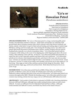 Hawaiian Petrel Pterodroma Sandwichensis