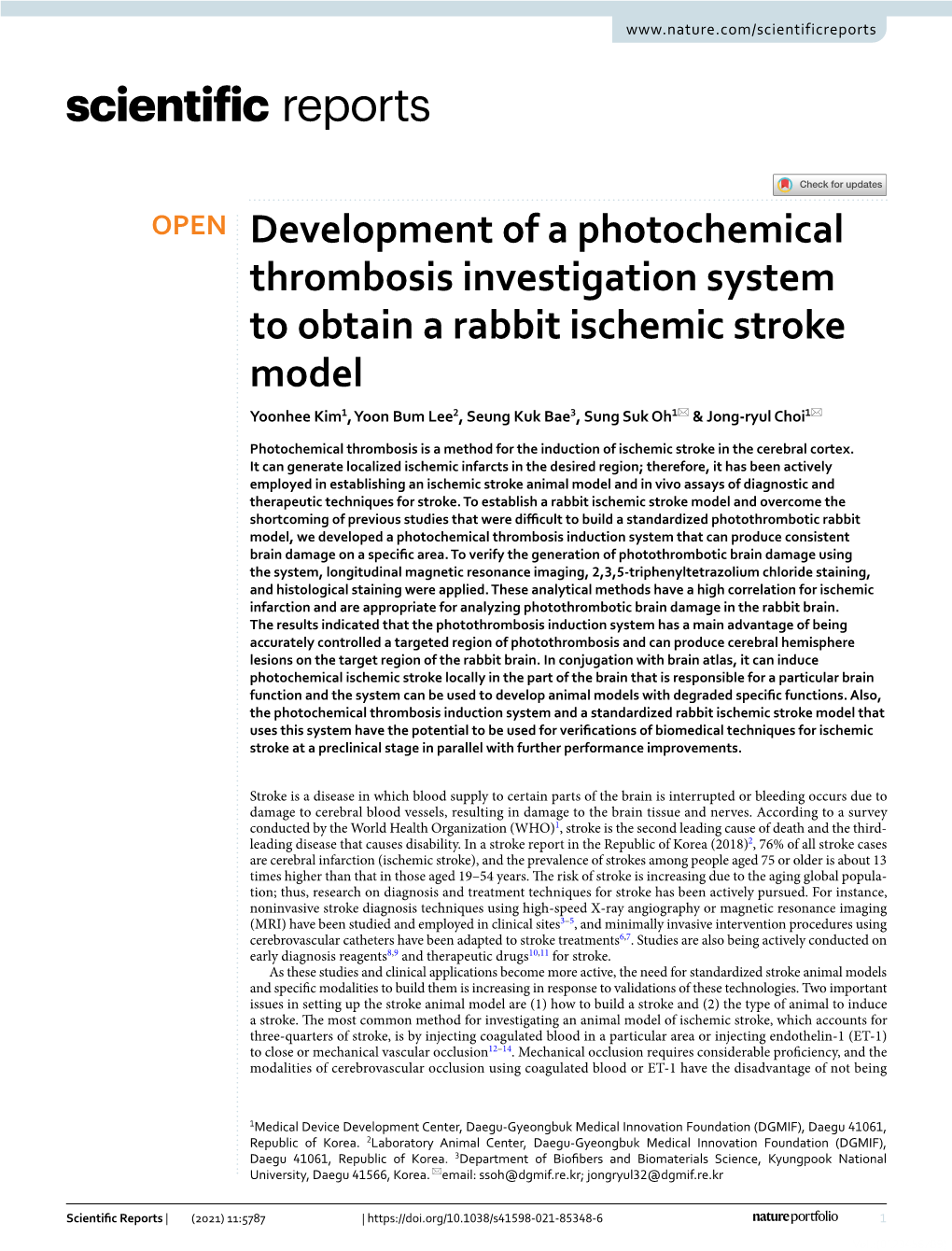 Development of a Photochemical Thrombosis Investigation System To